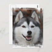 Husky Dog Briefkaart (Voorkant / Achterkant)