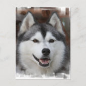 Husky Dog Briefkaart (Voorkant)