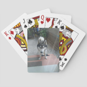 Husky Dog Classic Speelkaarten