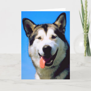 Husky dog foto customizable greeting card kaart