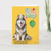 Husky Dog in a Party Hat on Yellow Birthday Kaart (Voorkant)