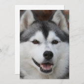 Husky Dog Invitation Kaart (Voorkant / Achterkant)