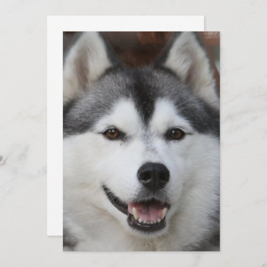 Husky Dog Invitation Kaart (Voorkant / Achterkant)