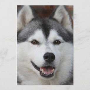 Husky Dog Invitation Kaart