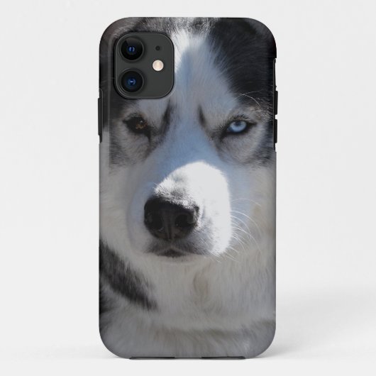 Husky Dog iPhone Gevallen Husky Malamute Hoesjes (Achterkant)