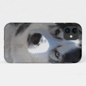 Husky Dog iPhone Gevallen Husky Malamute Hoesjes (Achterkant (horizontaal))