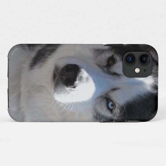 Husky Dog iPhone Gevallen Husky Malamute Hoesjes (Achterkant (horizontaal))