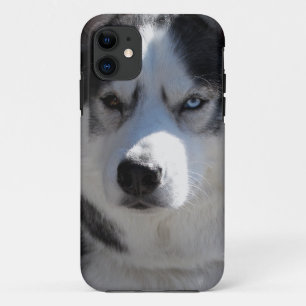 Husky Dog iPhone Gevallen Husky Malamute Pup Hoesj Case-Mate iPhone Case