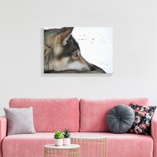 Husky dog met blauwe ogen canvas afdruk (Insitu (Woonkamer))