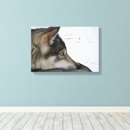 Husky dog met blauwe ogen canvas afdruk (Insitu (Houten vloer))