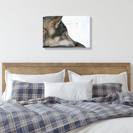 Husky dog met blauwe ogen canvas afdruk (Insitu (Slaapkamer))