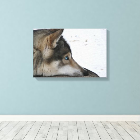 Husky dog met blauwe ogen canvas afdruk (Insitu (Houten vloer))
