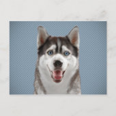 Husky Dog Monogram Foto Briefkaart (Voorkant)