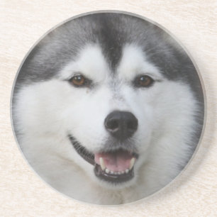 Husky Dog Onderzetters