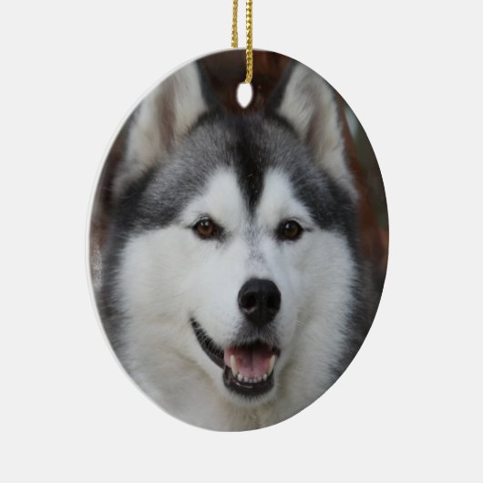Husky Dog Ornament (Rechts)
