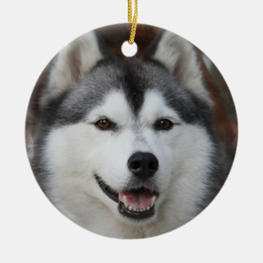 Husky Dog Ornament (Voorkant)