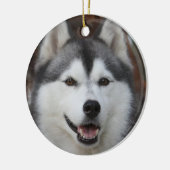 Husky Dog Ornament (Links)