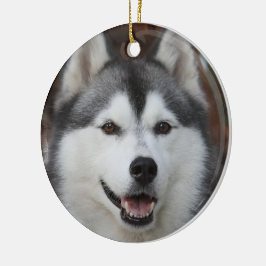 Husky Dog Ornament (Links)