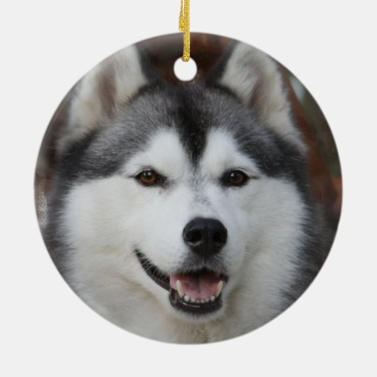Husky Dog Ornament (Achterkant)