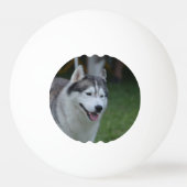 Husky Dog Pingpongbal (Achterkant)