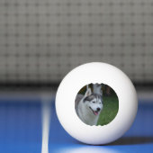 Husky Dog Pingpongbal (Net)