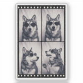 Husky Dog Portrait Sticker (Voorkant)