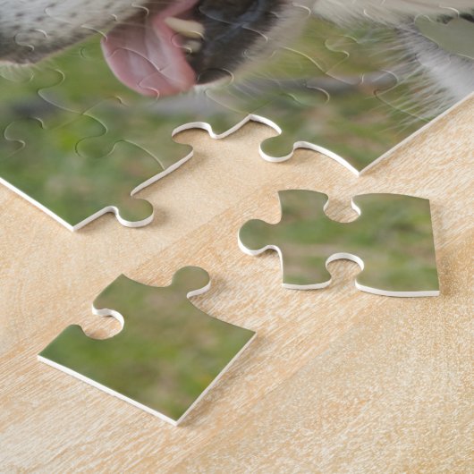 Husky Dog puzzle Legpuzzel (Zijkant)