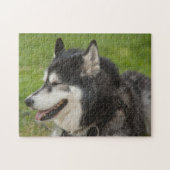 Husky Dog puzzle Legpuzzel (Horizontaal)