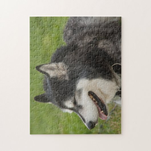 Husky Dog puzzle Legpuzzel (Verticaal)