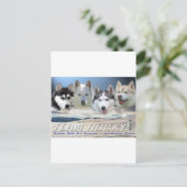 husky dog sleping briefkaart (Staand voorkant)