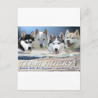 husky dog sleping briefkaart