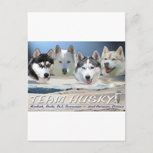 husky dog sleping briefkaart (Voorkant)