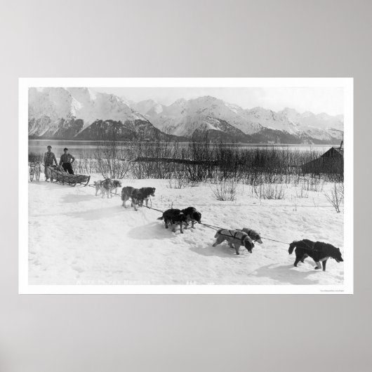 Husky Dog Team Alaska 1918 Poster (Voorkant)