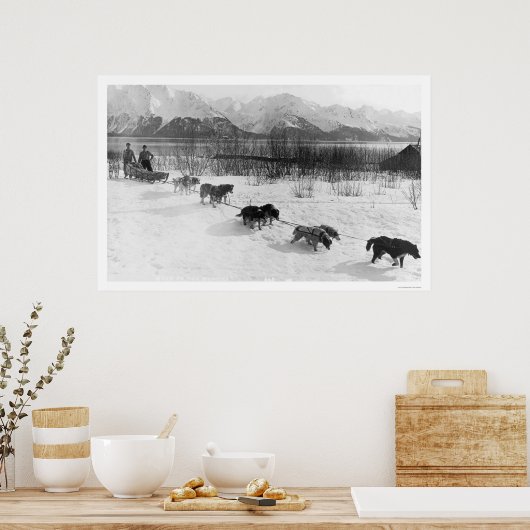 Husky Dog Team Alaska 1918 Poster (Keuken)