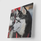 Husky dog voor een race, Canada Vierkante Klok (Hoek)