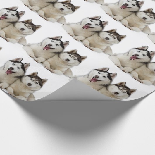 Husky Dogs Cadeaupapier (Hoek)