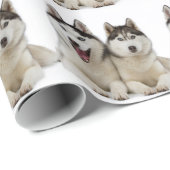 Husky Dogs Cadeaupapier (Rol Hoek)