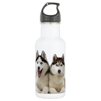 Husky Dogs Waterfles