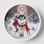 Husky draagt een rode wintersjaal (Voorkant)