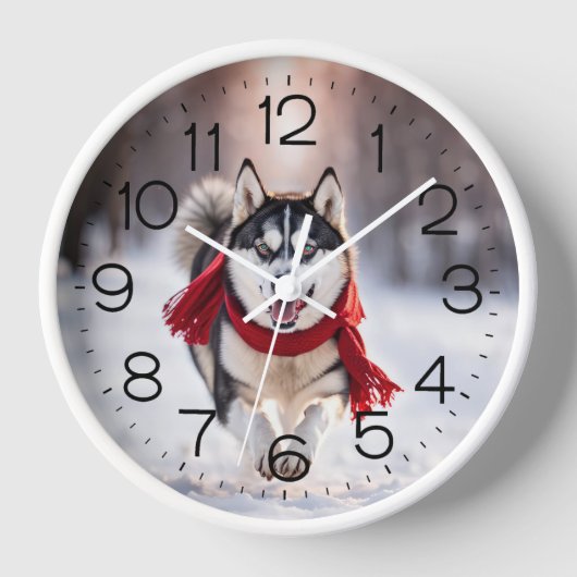 Husky draagt een rode wintersjaal (Voorkant)