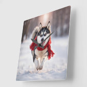 Husky draagt een rode wintersjaal vierkante klok (Hoek)