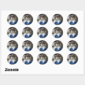 Husky en de frisbee ronde sticker (Vel)