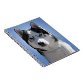 Husky Eye Notitieboek Siberian Husky Gifts & Books (Rechterzijde)