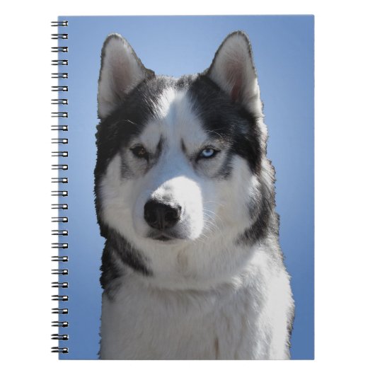 Husky Eye Notitieboek Siberian Husky Gifts & Books (Voorkant)