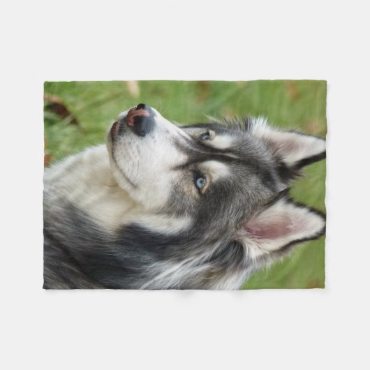 Husky Fleece Deken (Voorkant (Horizontaal))
