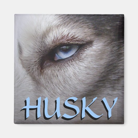 Husky Fridge Magnet Alaskan Sled Dog Magnet / Gift (Voorkant)