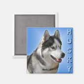 Husky Fridge Magnet Alaskan Sled Dog Magnet / Gift (Voorkant / Achterkant)