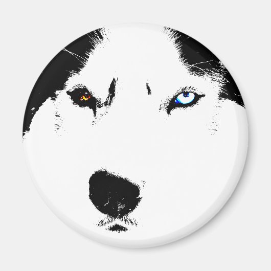 Husky Fridge Magnet Alaskan Sled Dog Magnet / Gift (Voorkant)