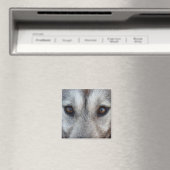 Husky Fridge Magnet Sled Dog Wolf Magnet / Gift (Insitu (Vaatwasser))