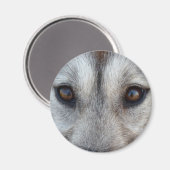 Husky Fridge MagnetSled Dog Wolf Magnet / Gift (Voorkant / Achterkant)